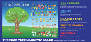 The Food Tree Magnetic Board